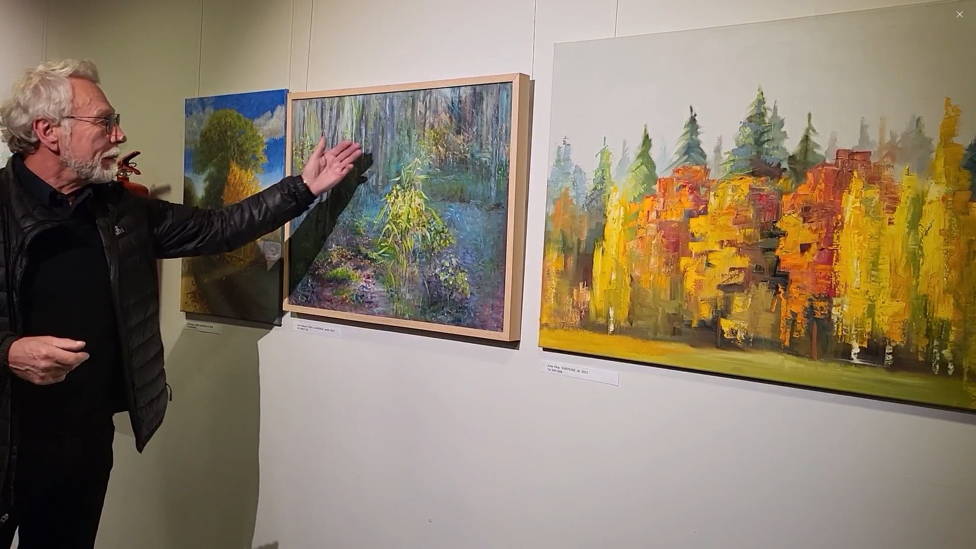 Metsa Mõte: Saaremaal toimub ainulaadne konverents-kultuurisündmus metsa minevikust, olevikust ja tulevikust